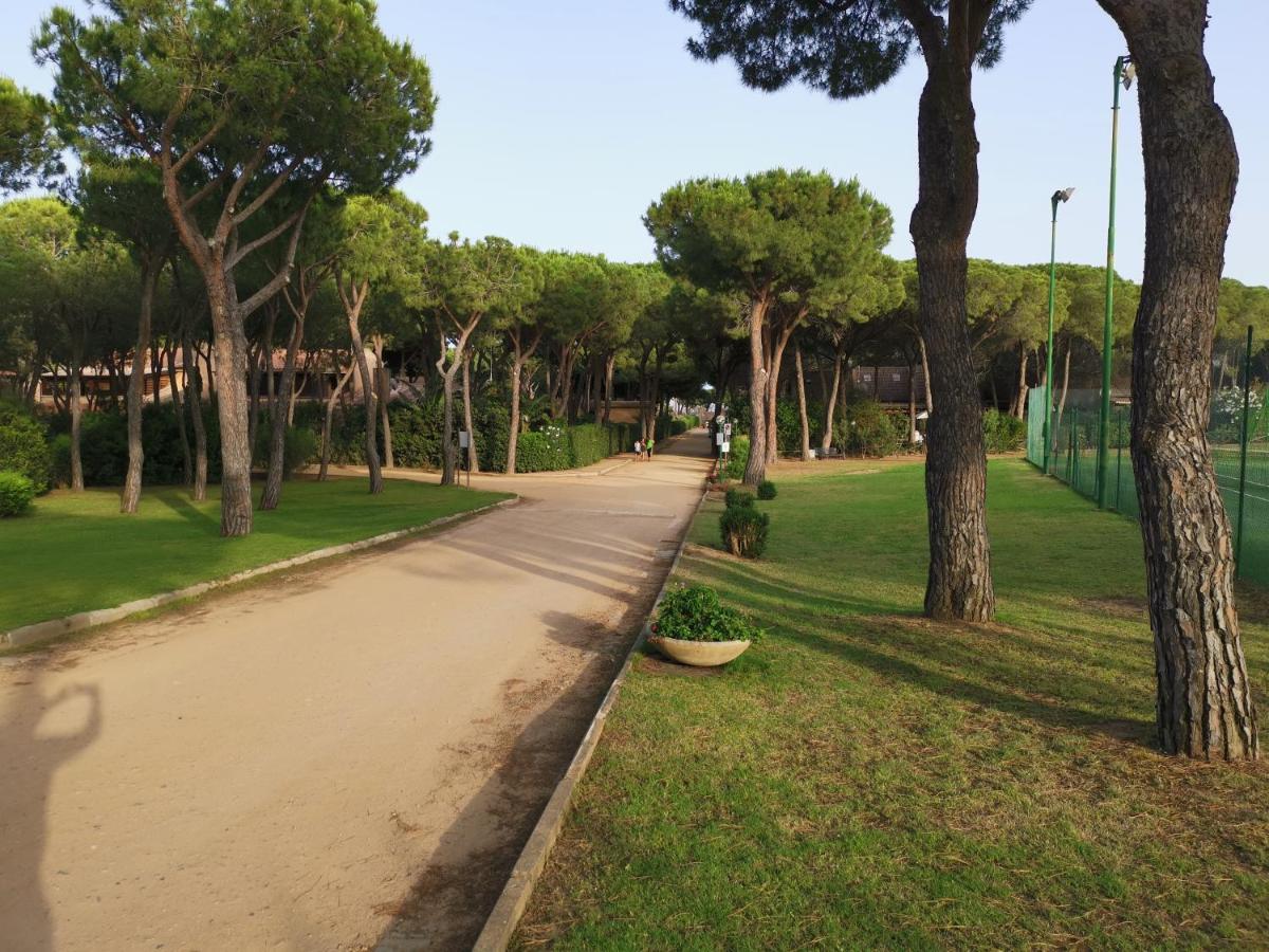 Villetta Graziosa Sul Mare Ristrutturata 포트 빌리지 외부 사진